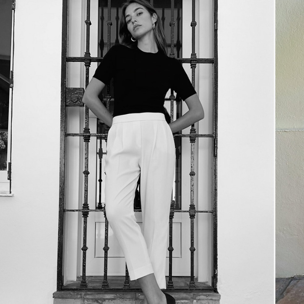 Aritzia Babaton Cohen Pant